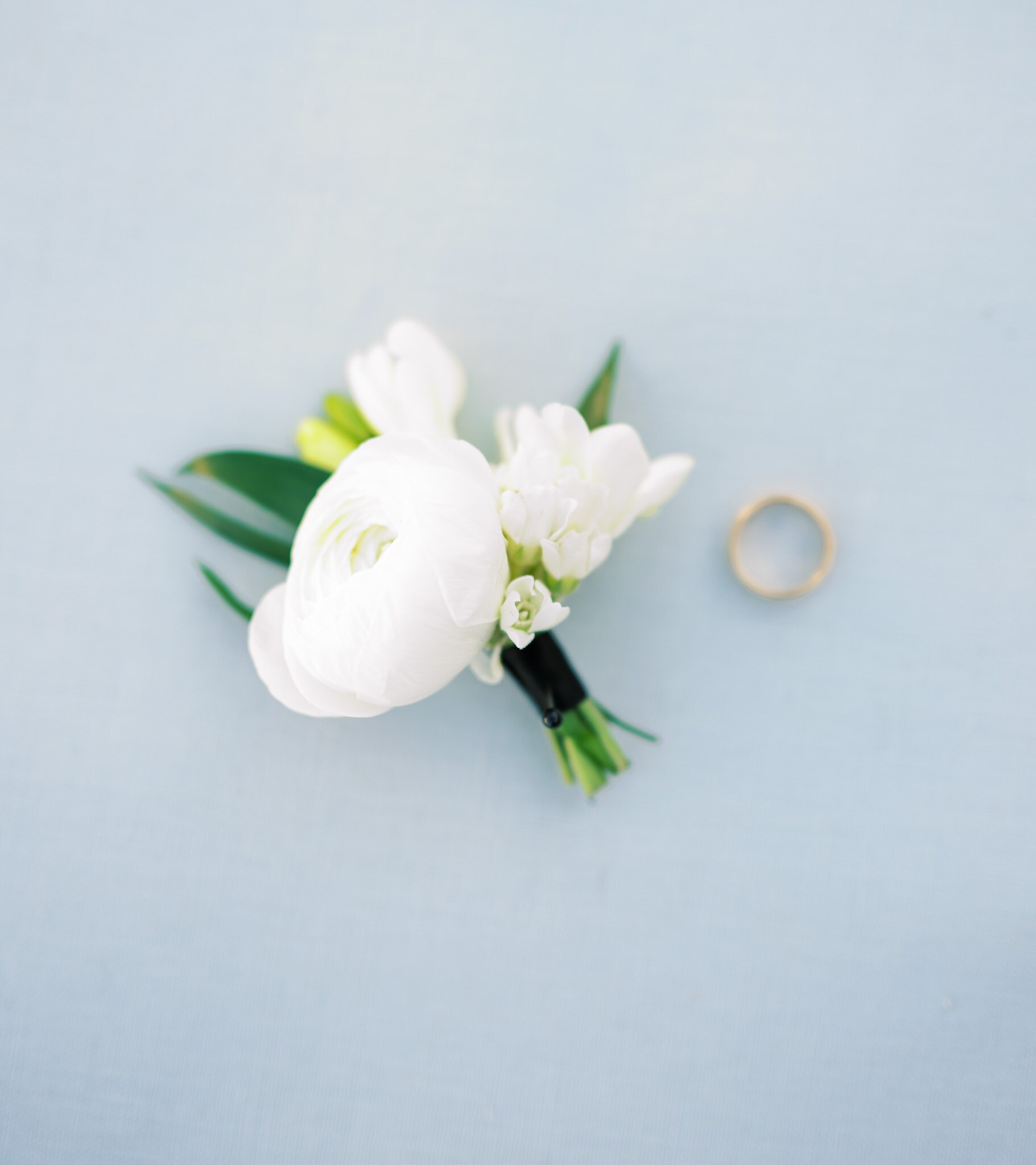 White Ranunculus Boutonniere